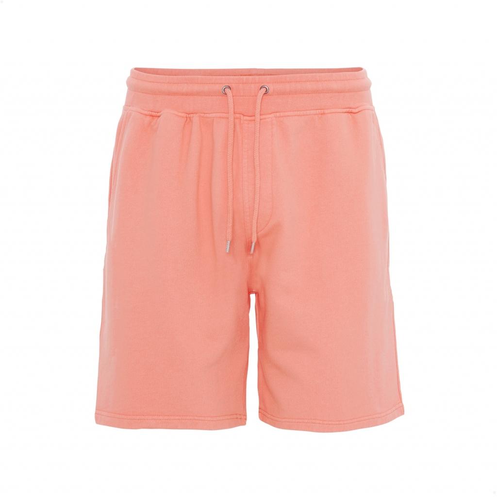 product/c/s/cs1010-brightcoral.jpg