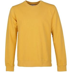 cs1005-burnedyellow-sweatshirt-mit-rundhalsausschnitt-colorful-standard-classic-organic-burned-yellow