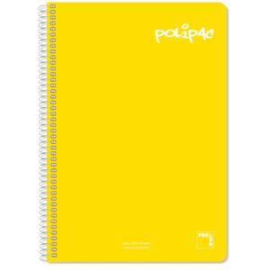 024244-packung-mit-5-notizblocken-plastikdeckel-mit-80-blatt-alpino-mehrfarbig-21-5x31x5-cm