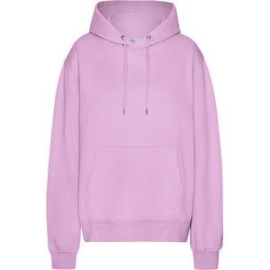 cs1006-cherryblossom-hoodie-colorful-standard-classic-organic-cherry-blossom-kirschblute