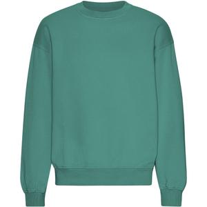 cs1012-pinegreen-sweatshirt-mit-rundhalsausschnitt-in-oversize-optik-colorful-standard-organic-pine-green-pine-green