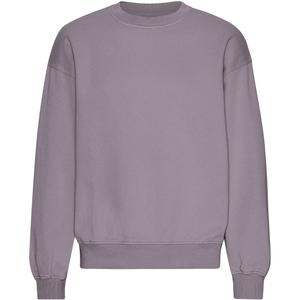 cs1012-purplehaze-sweatshirt-mit-rundhalsausschnitt-in-oversize-optik-colorful-standard-organic-purple-haze-purple-haze