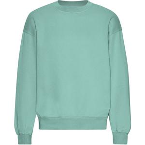 cs1012-seafoamgreen-oversize-sweatshirt-colorful-standard-organic-seafoam-green