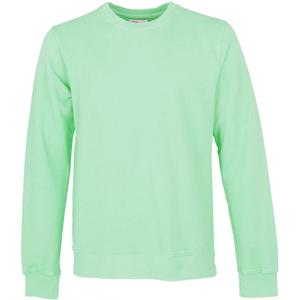 cs1005-fadedmint-sweatshirt-mit-rundhalsausschnitt-colorful-standard-classic-organic-faded-mint