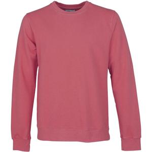 cs1005-raspberrypink-sweatshirt-mit-rundhalsausschnitt-colorful-standard-classic-organic-raspberry-pink