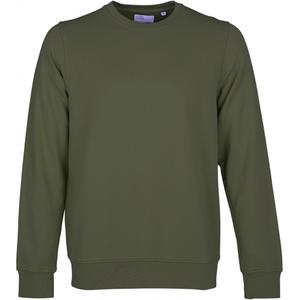 cs1005-seaweedgreen-sweatshirt-mit-rundhalsausschnitt-colorful-standard-classic-organic-seaweed-green