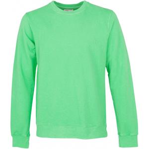 cs1005-springgreen-sweatshirt-mit-rundhalsausschnitt-colorful-standard-classic-organic-spring-green-spring-green