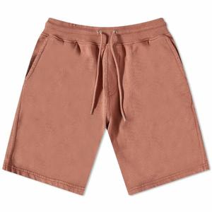 cs1010-rosewoodmist-shorts-colorful-standard-classic-organic-rosewood-mist-rosewood-mist