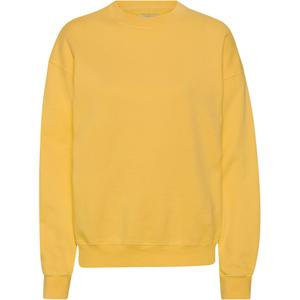 cs1012-burnedyellow-sweatshirt-mit-rundhalsausschnitt-colorful-standard-organic-oversized-burned-yellow