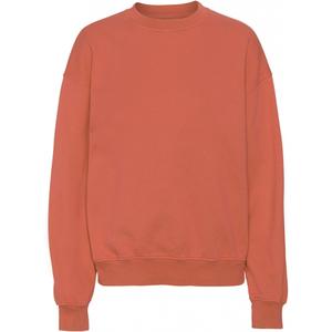 cs1012-darkamber-sweatshirt-mit-rundhalsausschnitt-colorful-standard-organic-oversized-dark-amber