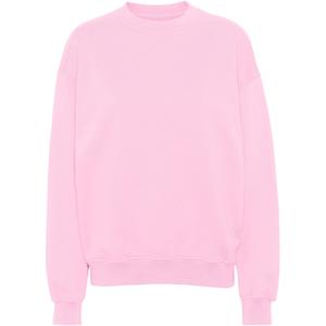 cs1012-flamingopink-sweatshirt-mit-rundhalsausschnitt-colorful-standard-organic-oversized-flamingo-pink
