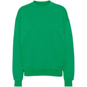 cs1012-kellygreen-sweatshirt-mit-rundhalsausschnitt-colorful-standard-organic-oversized-geleegrun