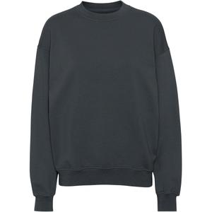 cs1012-lavagrey-sweatshirt-mit-rundhalsausschnitt-colorful-standard-organic-oversized-lava-grey