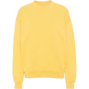 cs1012-lemonyellow-sweatshirt-mit-rundhalsausschnitt-colorful-standard-organic-oversized-lemon-yellow