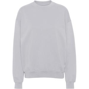 cs1012-limestonegrey-sweatshirt-mit-rundhalsausschnitt-colorful-standard-organic-oversized-limestone-grey