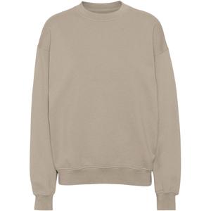 cs1012-oystergrey-sweatshirt-mit-rundhalsausschnitt-colorful-standard-organic-oversized-austerngrau