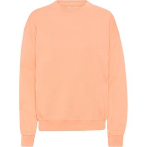cs1012-paradisepeach-sweatshirt-mit-rundhalsausschnitt-colorful-standard-organic-oversized-paradise-peach-paradise-peach