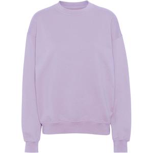 cs1012-softlavender-sweatshirt-mit-rundhalsausschnitt-colorful-standard-organic-oversized-soft-lavender