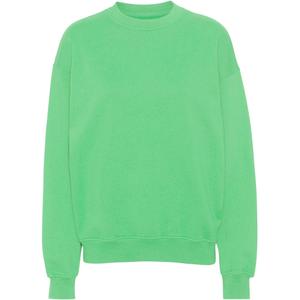 cs1012-springgreen-sweatshirt-mit-rundhalsausschnitt-colorful-standard-organic-oversized-spring-green