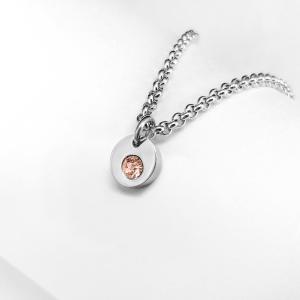 product/p/o/ponytail-co_pt-pe-01-os-ss-xx-02_steel_1.jpg